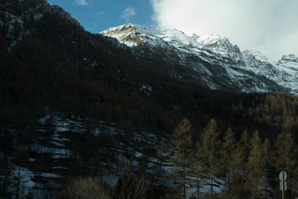 Hotel Etoile De Neige Valtournenche Dış mekan fotoğraf